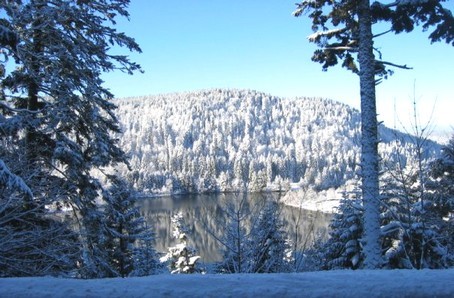 Lac de Longemer - Photo F.GUYOT